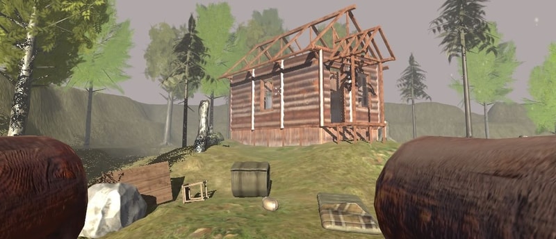 Survive In The Forest