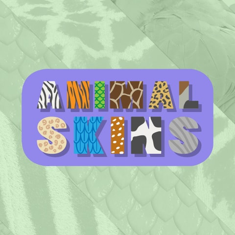 Animal Skins - Fun Educational Game for Kids to Learn Animal Skin Types