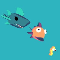 Fish Feeding
