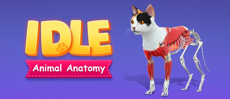 IDLE Animal Anatomy - Juego de simulación educativo y de crecimiento de animales