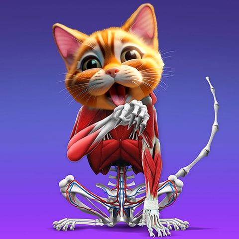 IDLE Animal Anatomy - Hayvan Anatomisi Simülatörü Oyna