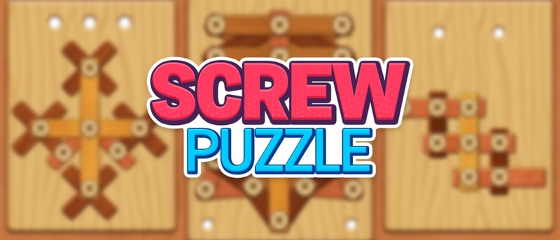 Wood Screw Puzzle