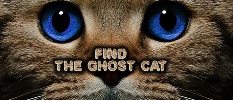 Find the Ghost Cat