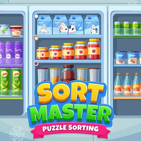 Sort Master - Free Online Puzzle Game to Play and Organize