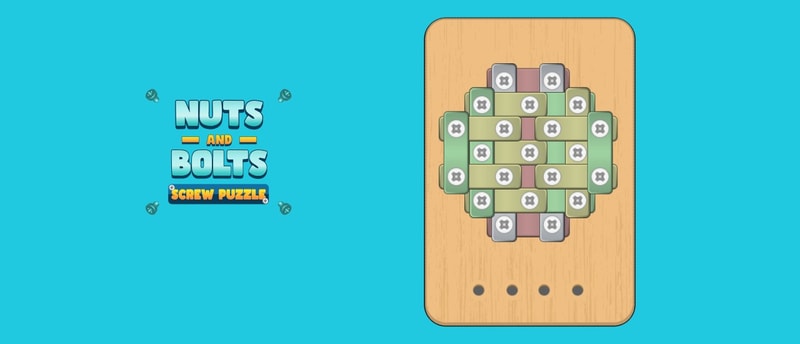Nuts And Bolts Screw Puzzle