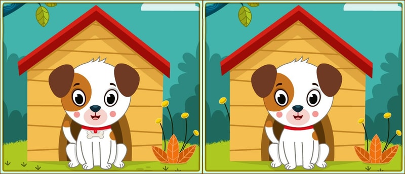 Spot 5 Differences