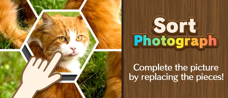 Sort Photograph - Free Puzzle Game to Play and Complete Pictures