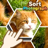 Sort Photograph - Free Puzzle Game to Play and Complete Pictures