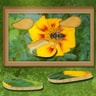 Find &amp; Restore: Hidden Puzzle