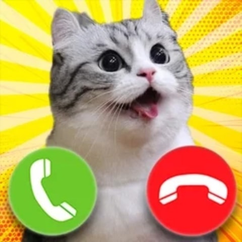 Komaru Cat - Virtual Pet Care & Dress Up Game for Kids