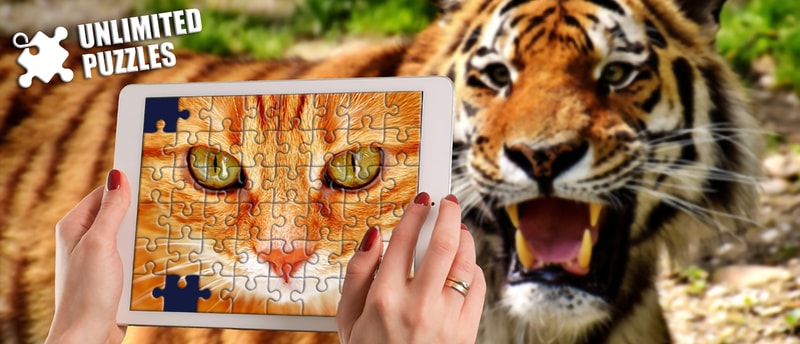 Unlimited Jigsaw Puzzles