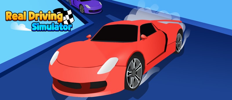 Real Driving Simulator