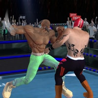 Real Boxing Fighting Game - Play Free Boxing Games Online
