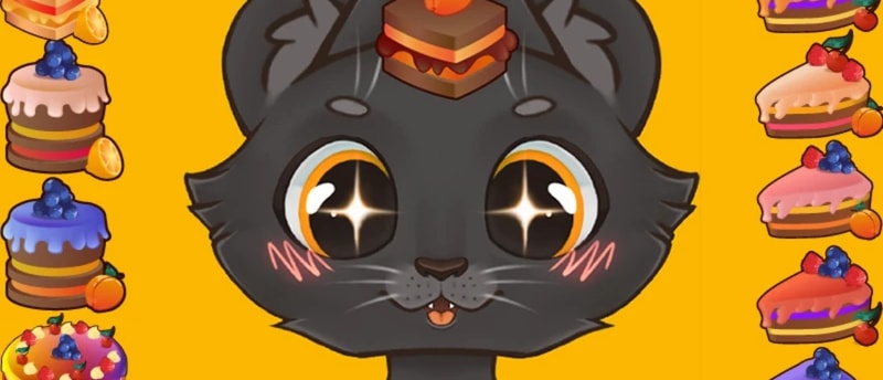Sweet business of cats: cakes