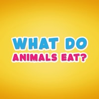 What do animals eat