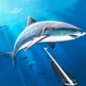 Hunting Underwater Spearfishing Game – Dive & Play for Free