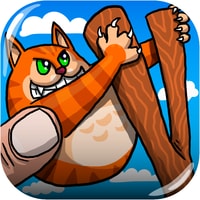 Angry Cat Shot - Juego divertido para jugar en línea gratis