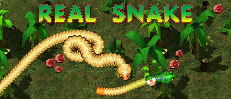 Real Snakes