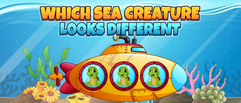 Which Sea Creature Looks Different - Free Online Puzzle Game