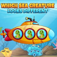 Which Sea Creature Looks Different - Free Online Puzzle Game