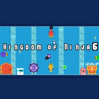Kingdom of Ninja 6