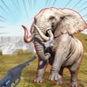 Zoo Anomaly Simulation