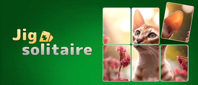 Jigsolitaire